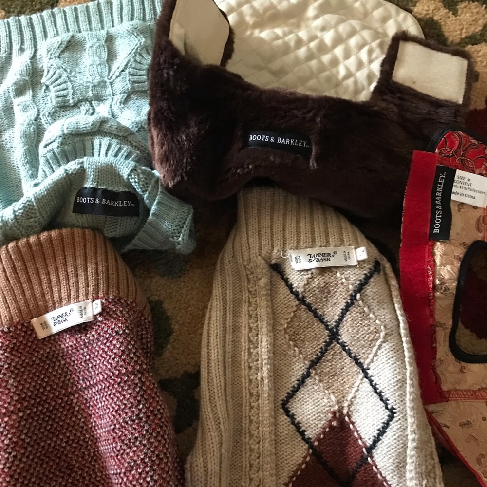Dog clothes outfits boots Barkley tanner dash dachshund wiener dog puppy medium - Picture 2 of 12